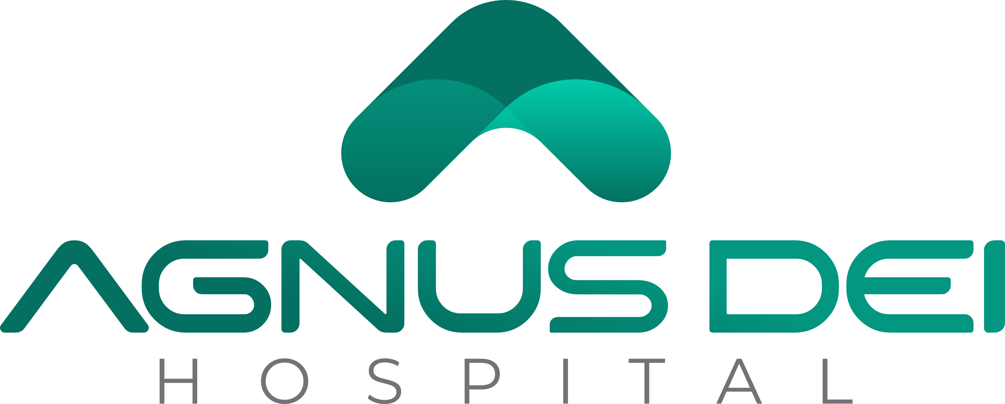 Hospital Agnus Dei
